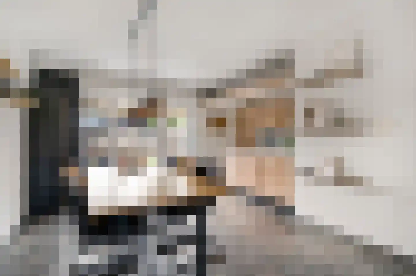 Reysenbeckstraat 7 Hegelsom thumbnail 22