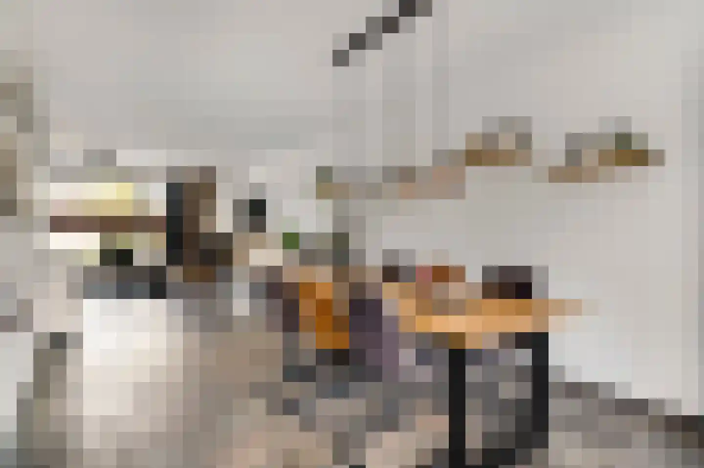 Reysenbeckstraat 7 Hegelsom thumbnail 24