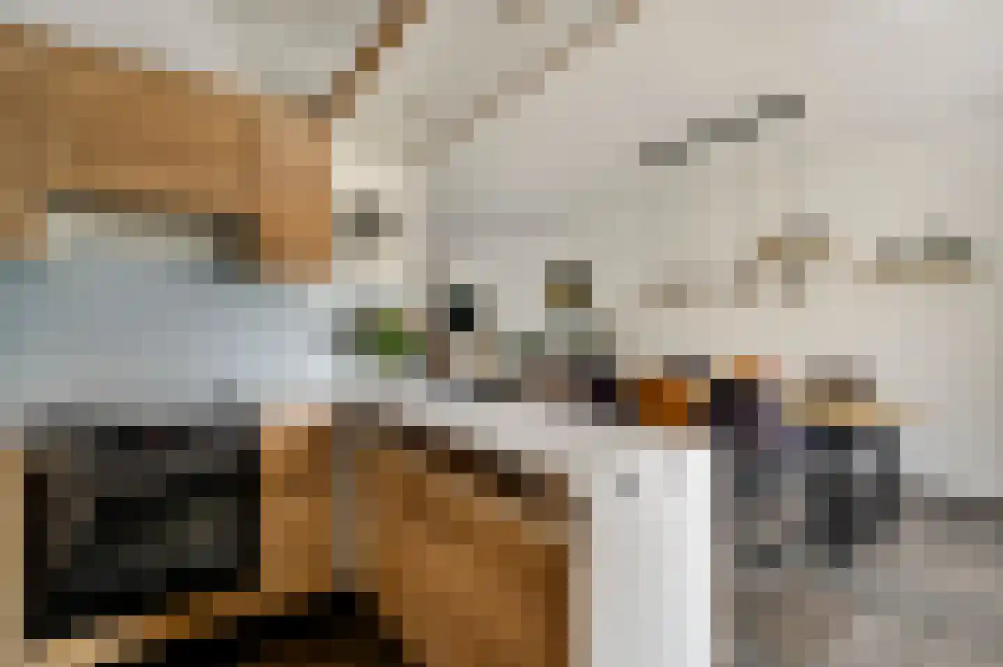 Reysenbeckstraat 7 Hegelsom thumbnail 30