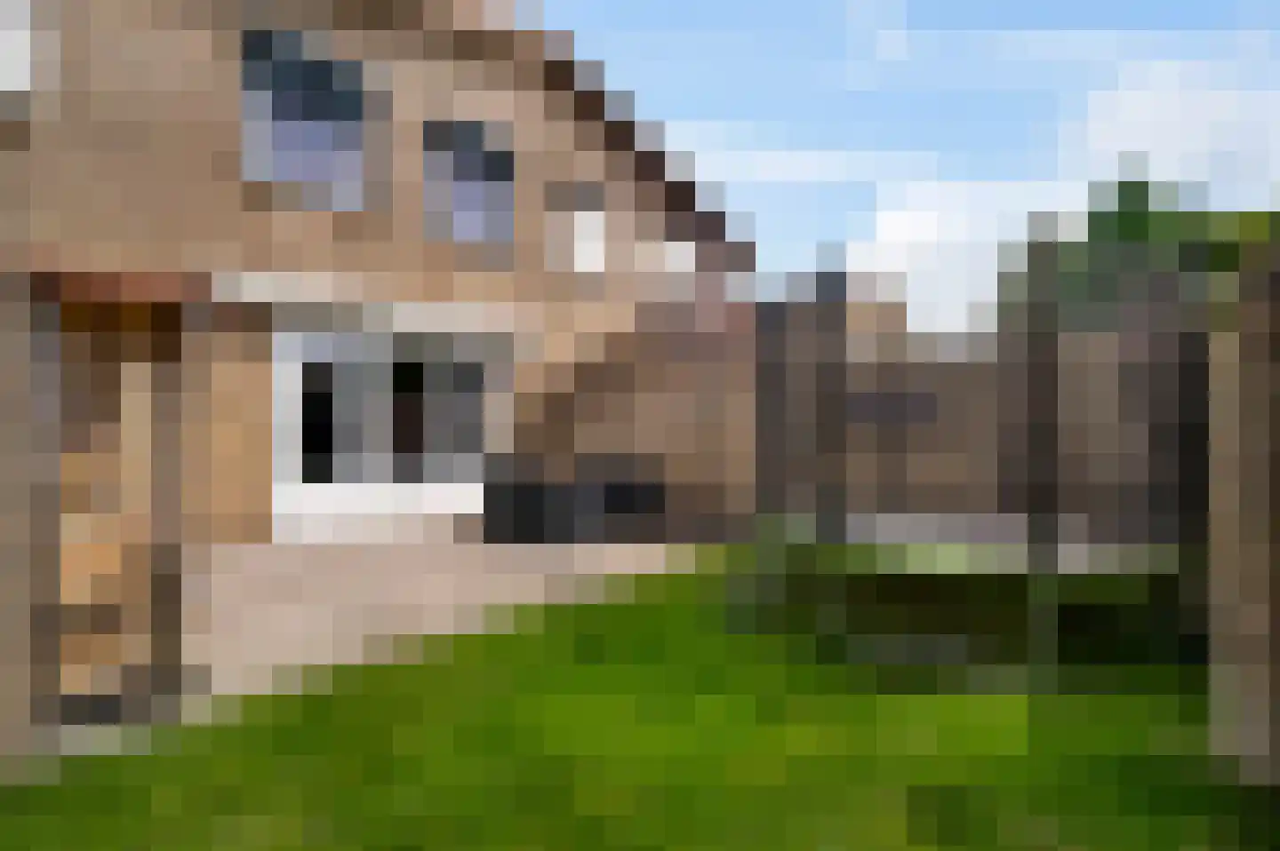 Reysenbeckstraat 7 Hegelsom thumbnail 34