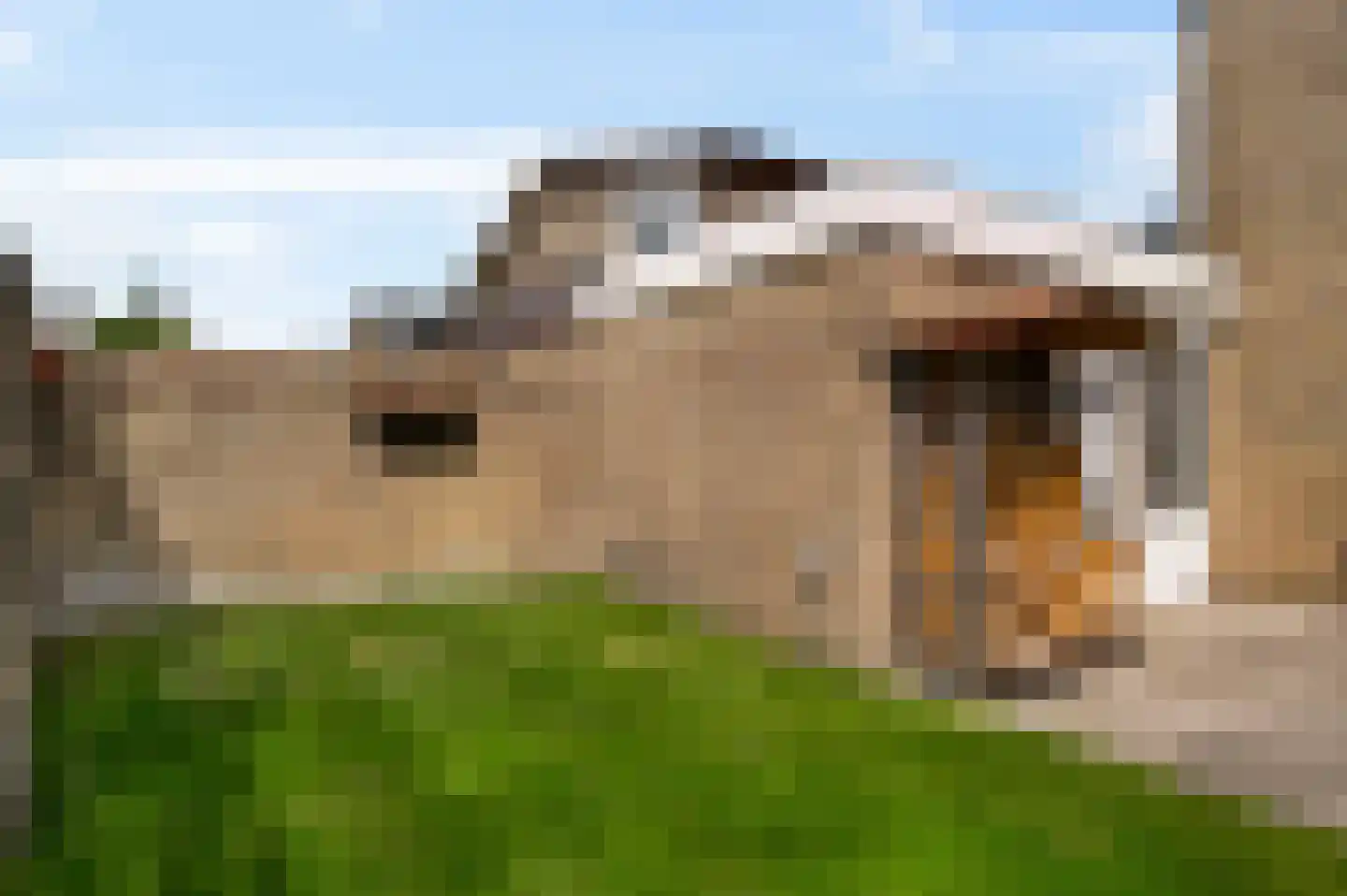 Reysenbeckstraat 7 Hegelsom thumbnail 36