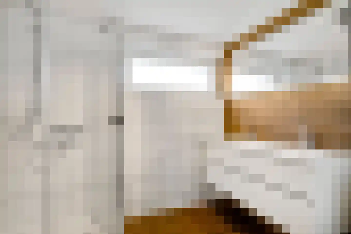 Reysenbeckstraat 7 Hegelsom thumbnail 4