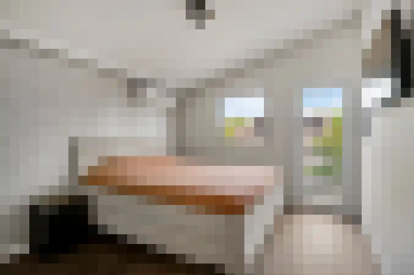 Reysenbeckstraat 7 Hegelsom thumbnail 40