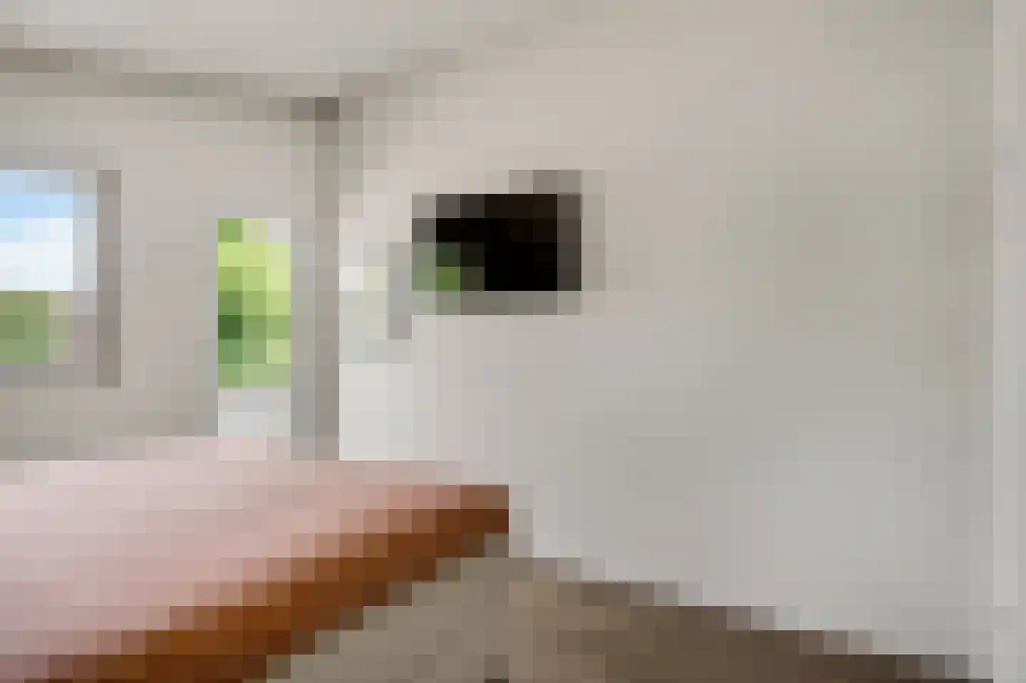 Reysenbeckstraat 7 Hegelsom thumbnail 41