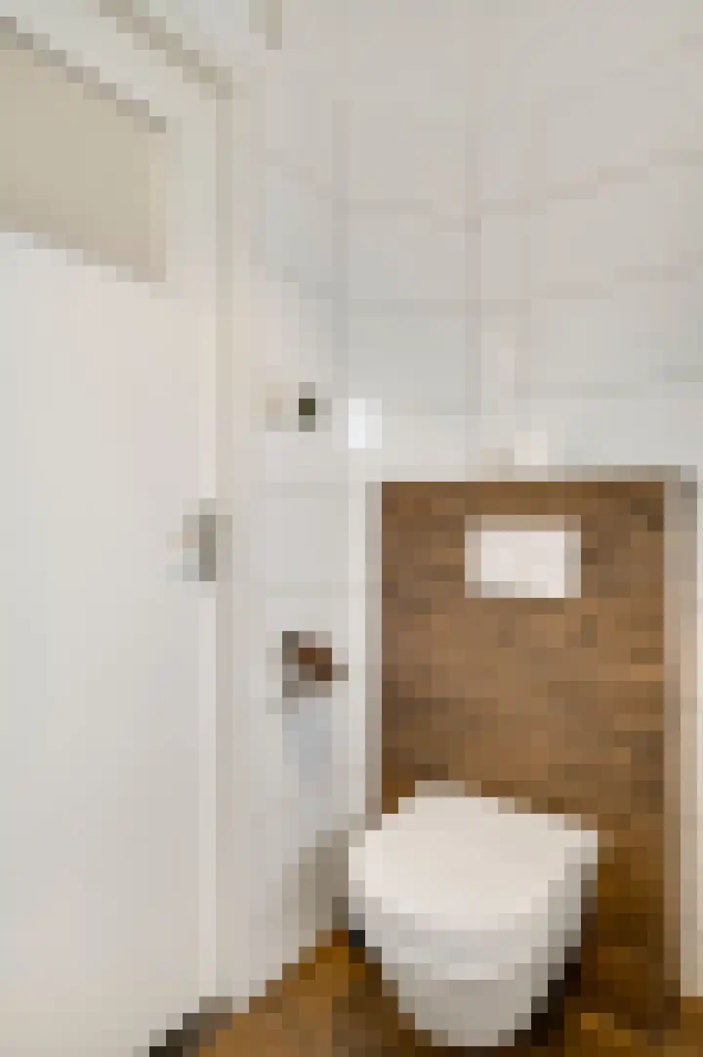 Reysenbeckstraat 7 Hegelsom thumbnail 47