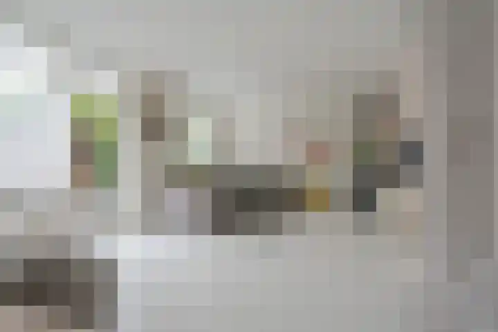 Reysigerweg 12 Zwolle thumbnail 11