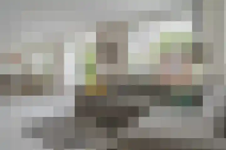 Reysigerweg 12 Zwolle thumbnail 12