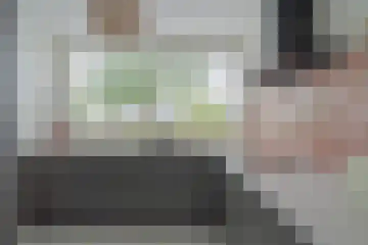 Reysigerweg 12 Zwolle thumbnail 20