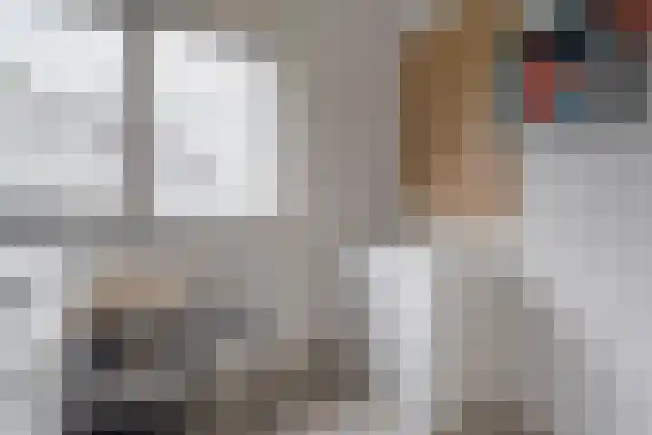 Reysigerweg 12 Zwolle thumbnail 31