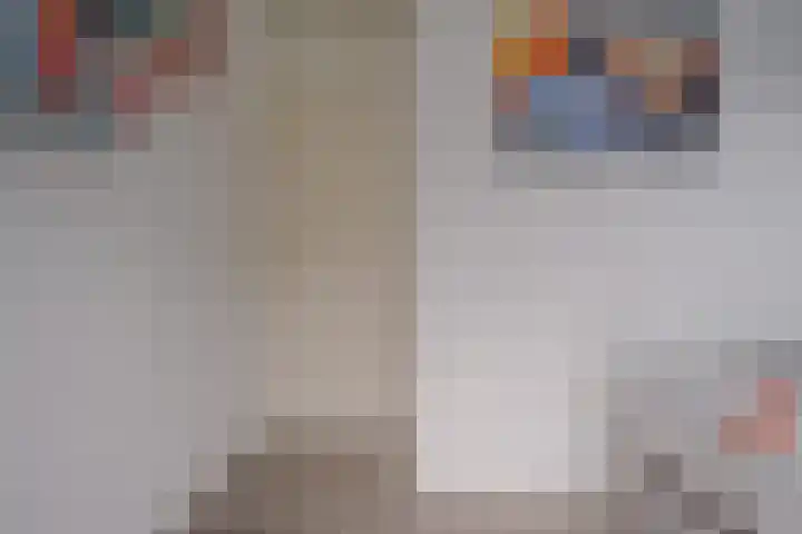 Reysigerweg 12 Zwolle thumbnail 32