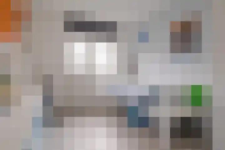 Reysigerweg 12 Zwolle thumbnail 33