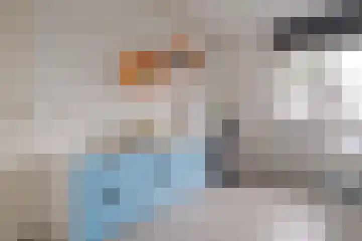 Reysigerweg 12 Zwolle thumbnail 34