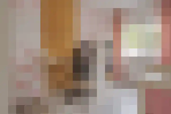 Reysigerweg 12 Zwolle thumbnail 36