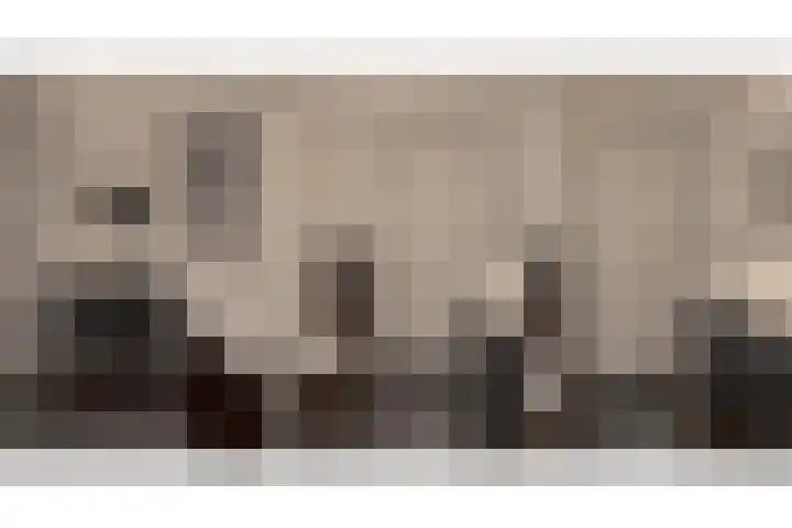Reysigerweg 12 Zwolle thumbnail 42