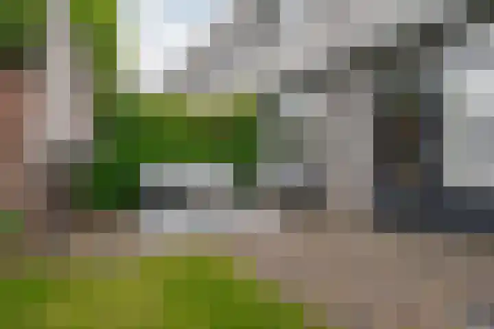 Reysigerweg 12 Zwolle thumbnail 44