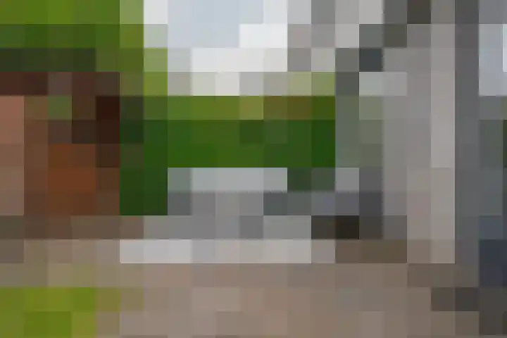 Reysigerweg 12 Zwolle thumbnail 45
