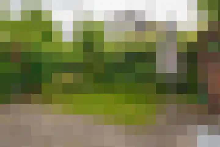 Reysigerweg 12 Zwolle thumbnail 47