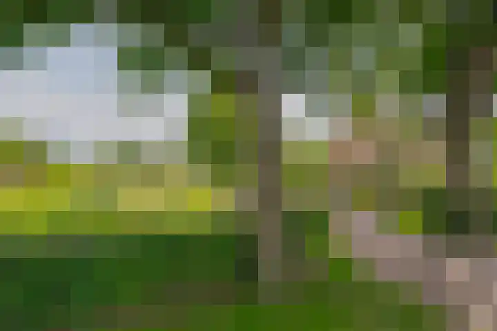Reysigerweg 12 Zwolle thumbnail 48