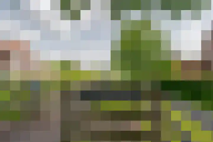 Reysigerweg 12 Zwolle thumbnail 49
