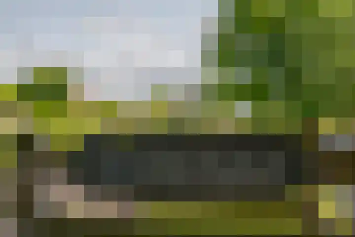 Reysigerweg 12 Zwolle thumbnail 50