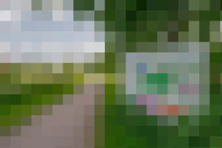 Reysigerweg 12 Zwolle thumbnail 51