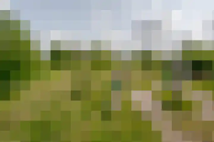Reysigerweg 12 Zwolle thumbnail 52