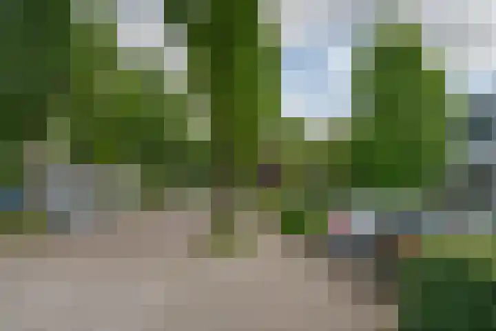 Reysigerweg 12 Zwolle thumbnail 53
