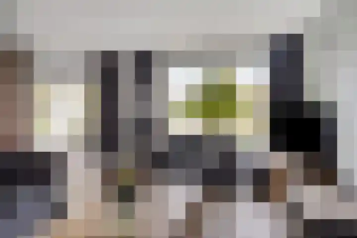 Rezzago 11 Vries thumbnail 13