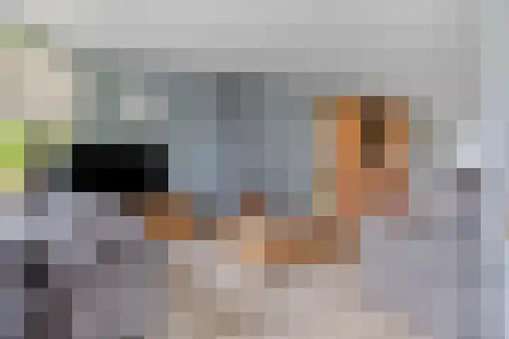 Rezzago 11 Vries thumbnail 16