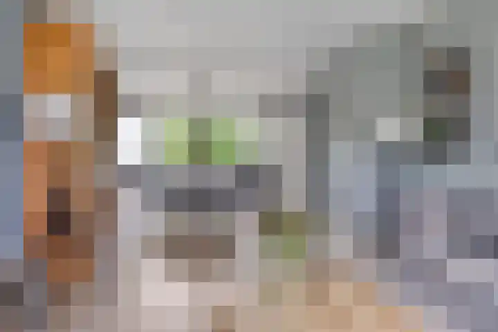 Rezzago 11 Vries thumbnail 17