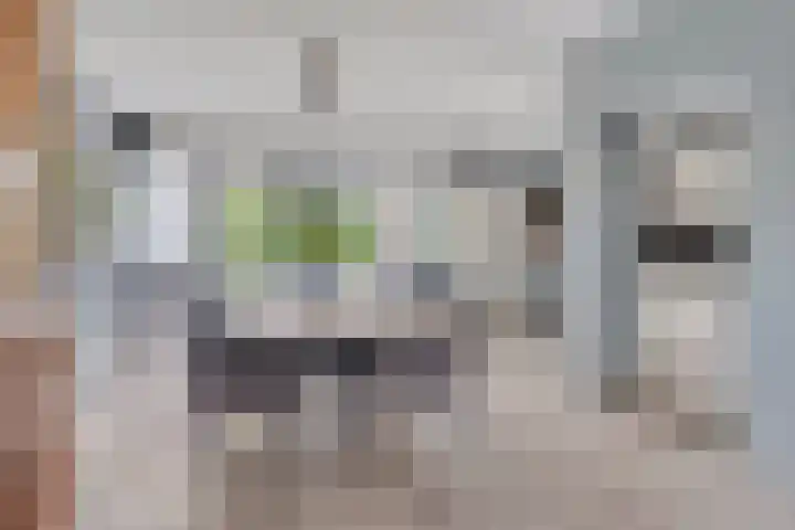 Rezzago 11 Vries thumbnail 19