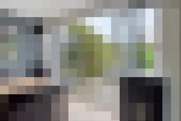 Rezzago 11 Vries thumbnail 21
