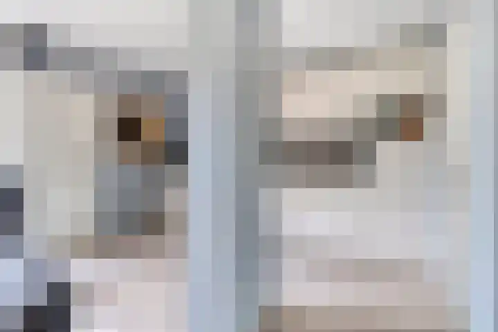 Rezzago 11 Vries thumbnail 22