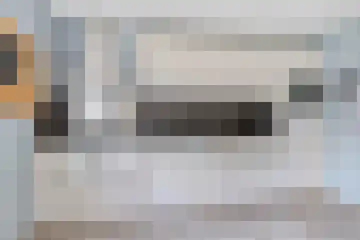 Rezzago 11 Vries thumbnail 24