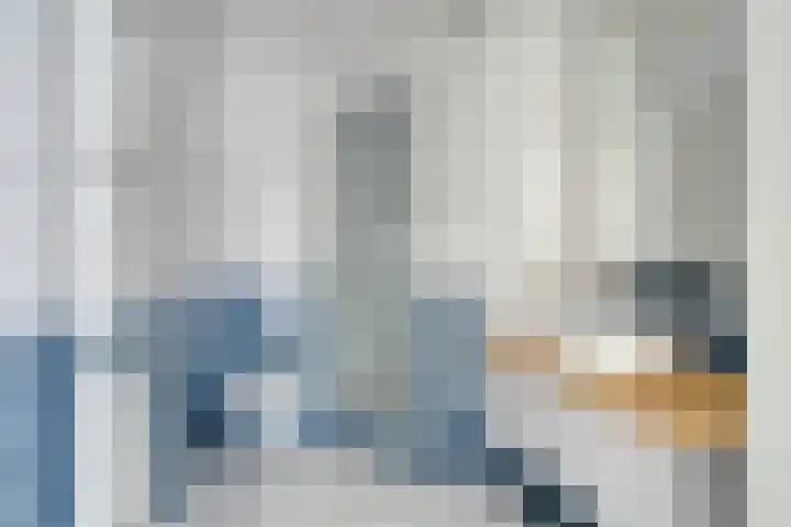 Rezzago 11 Vries thumbnail 32