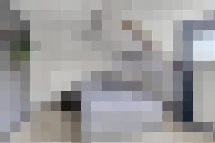 Rezzago 11 Vries thumbnail 39
