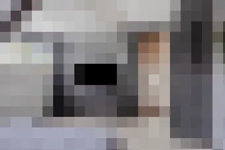 Rezzago 11 Vries thumbnail 40