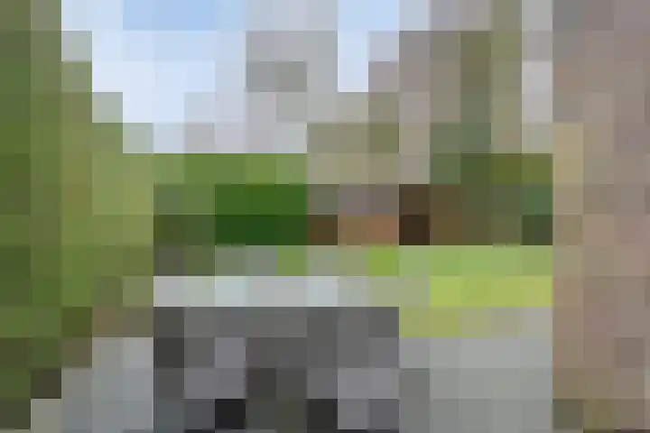 Rezzago 11 Vries thumbnail 43
