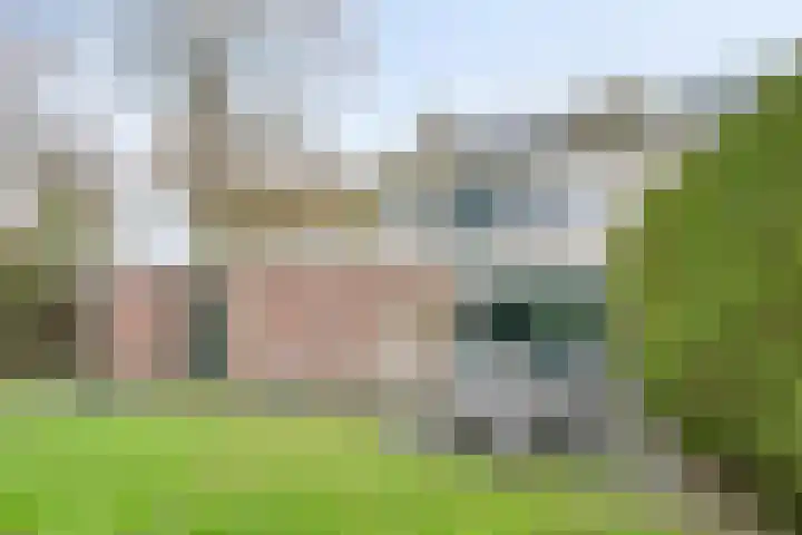 Rezzago 11 Vries thumbnail 48