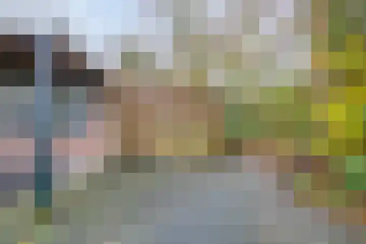 Rezzago 11 Vries thumbnail 49