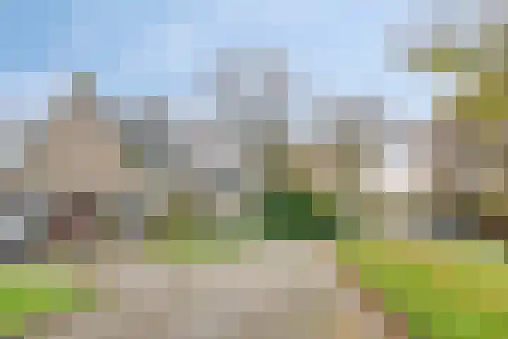 Rezzago 11 Vries thumbnail 5