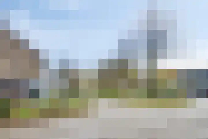 Rezzago 11 Vries thumbnail 52