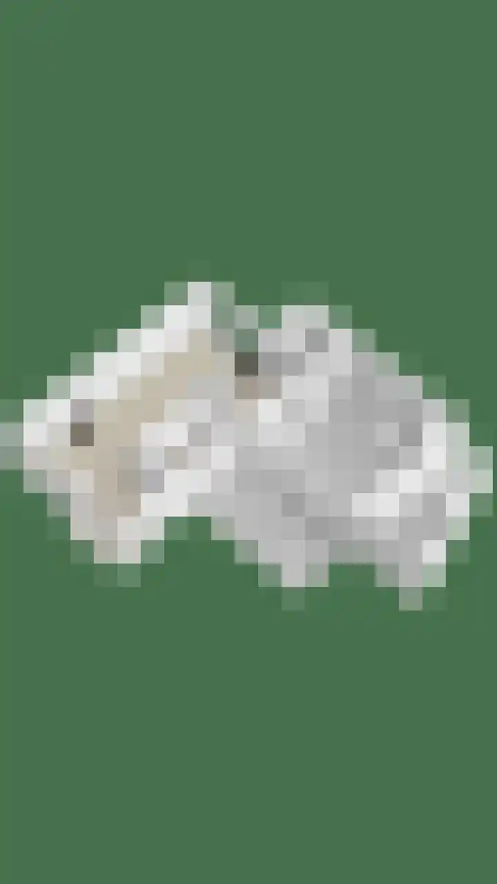 Rezzago 11 Vries thumbnail 60