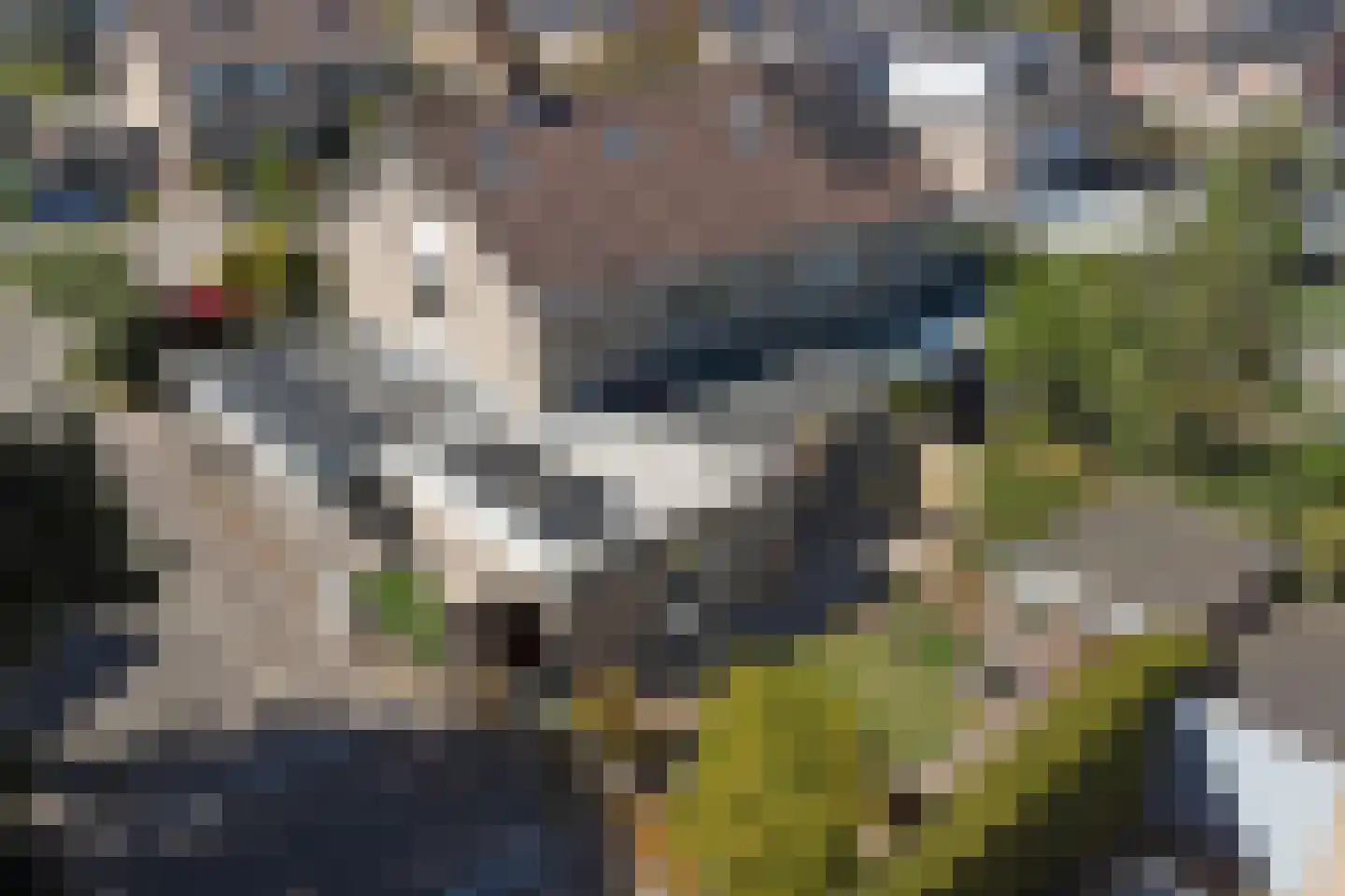 Rhaanbrink 24 Enschede thumbnail 49