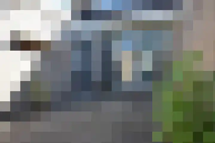 Rhala 10 Burgum thumbnail 12