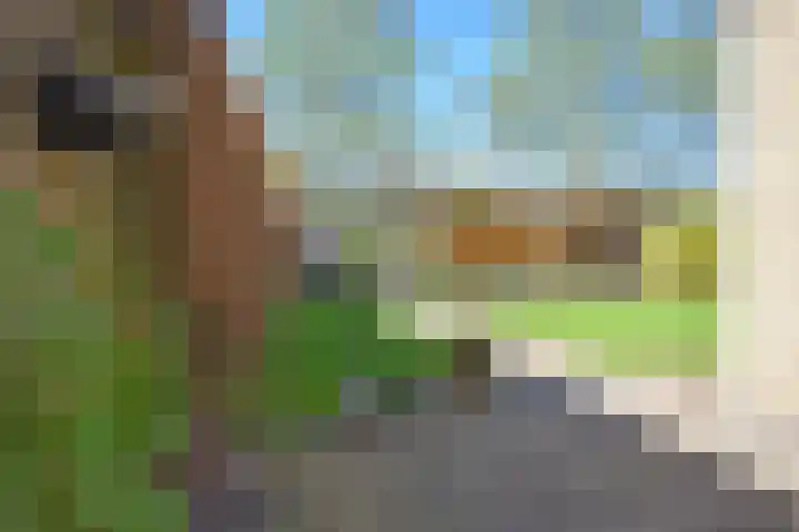 Rhala 10 Burgum thumbnail 14