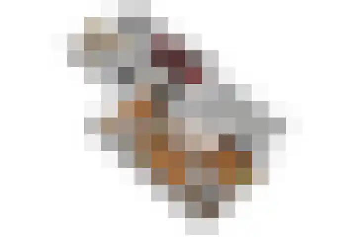 Rhala 10 Burgum thumbnail 15