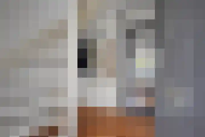 Rhala 10 Burgum thumbnail 16