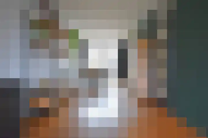 Rhala 10 Burgum thumbnail 27