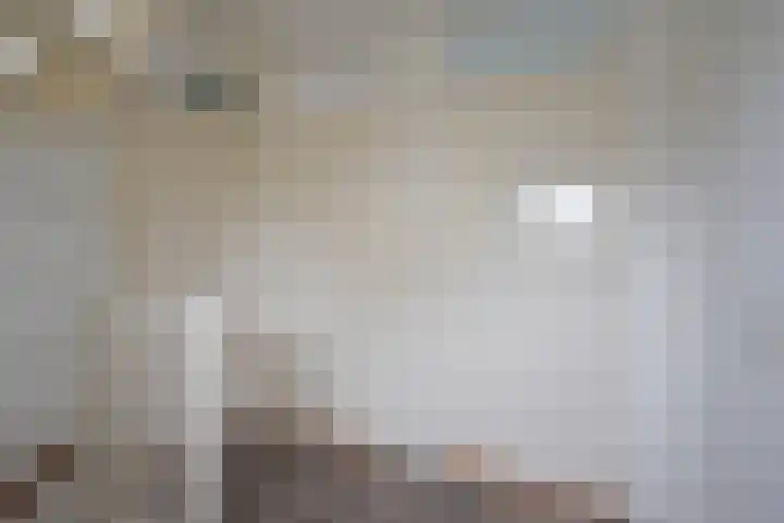 Rhala 10 Burgum thumbnail 36
